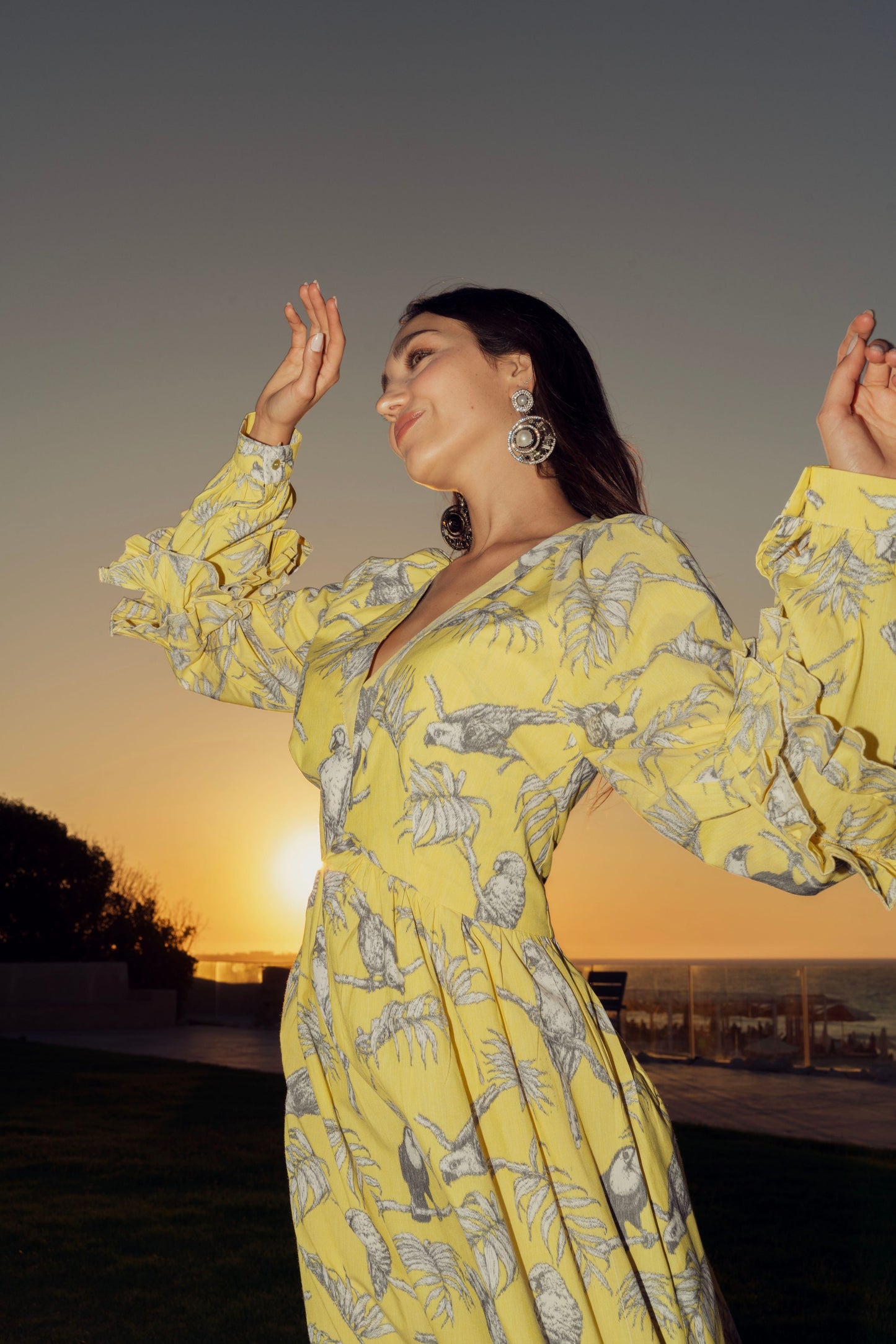 Sunbird Print Ruffle Midi Dress.